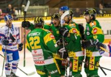 Der EHC Lustenau im Finale um österreichische Meisterschaft