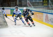 Die VEU trifft in Brixen auf die Broncos