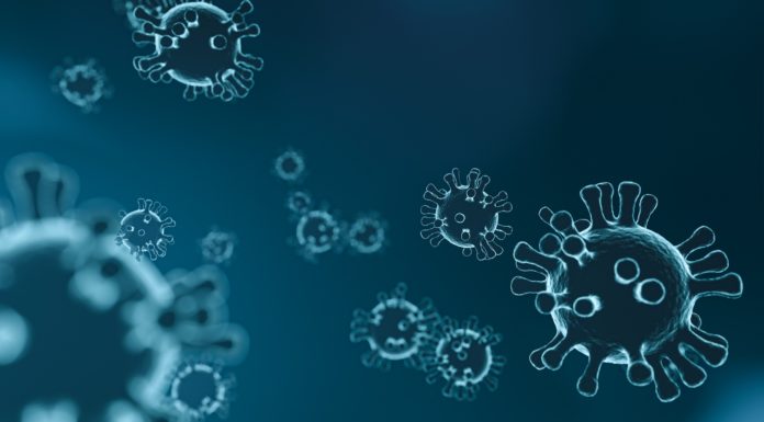 Corona: Vier zusätzliche Fälle