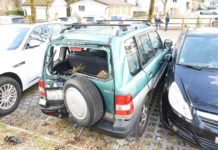 Auto prallt in Baum