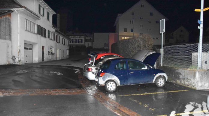 Flums: Zwei Autos abgebrannt – Zeugenaufruf