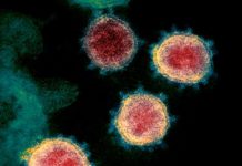 CORONA: DEUTSCHLAND – ÜBER 3 MIO. GENESENE