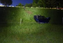 Kaltbrunn: Mit Auto Selbstunfall verursacht