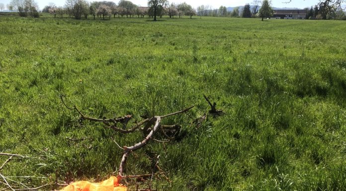 Mit Fallschirm gegen Baum geflogen