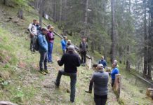 Begehung im Wald mit der Umweltministerin