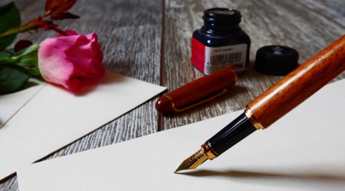 Referendum Rheindamm ist unnötig