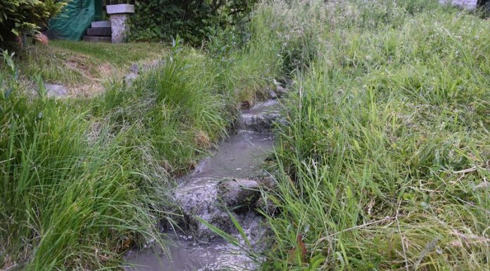 Zement gelangt in Quartierbach