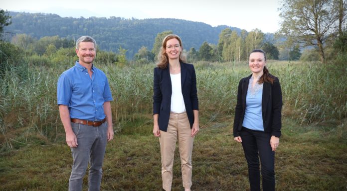 Klimaschutz: Ruggeller Riet als CO2-Speicher