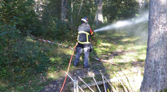 Waldbrand Einsatzgruppe
