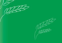 Weniger, aber grössere Landwirtschaftsbetriebe