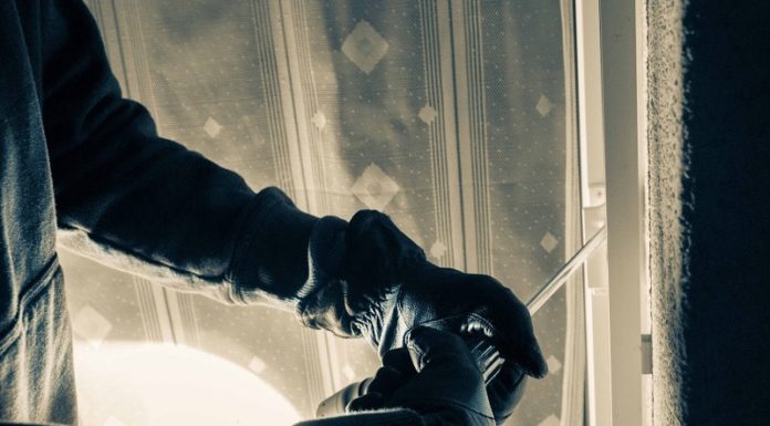 Tresor aus Firma gestohlen