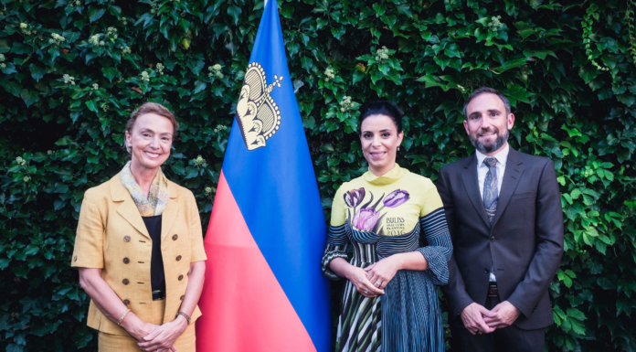 Aussenministerium startet Vorbereitungen zum Vorsitz im Europarat