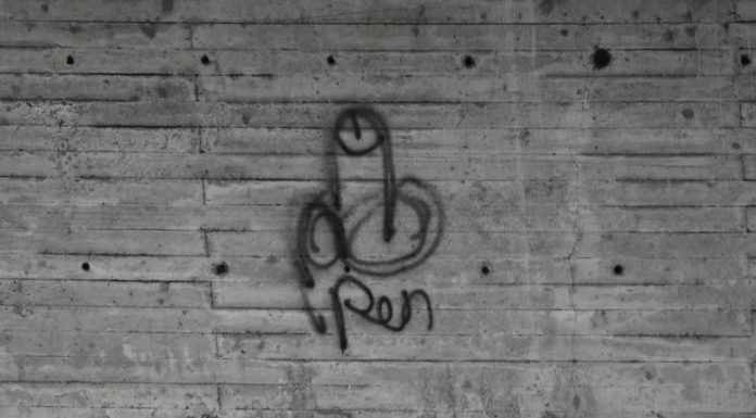 Zeugenaufruf – Sachbeschädigung an Galerie