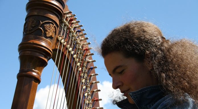 ZAUBER DER HARFE ZUM JAHRESBEGINN