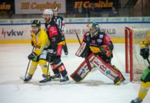 Erstes Heimspiel in der Quali für die VEU Feldkirch