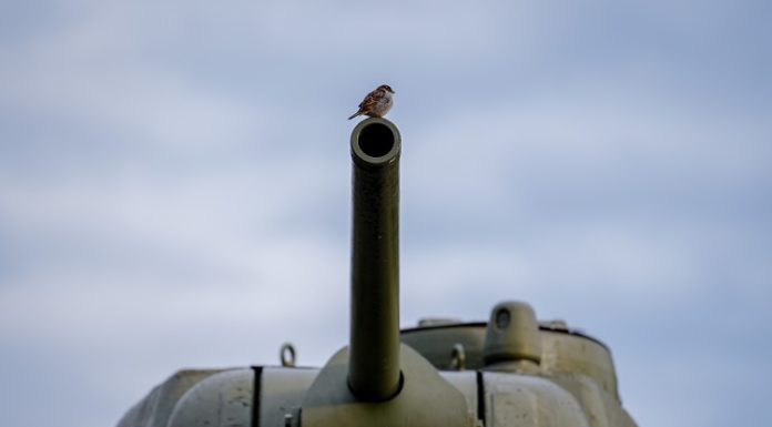 IN DER UKRAINE HAT DER KRIEG BEGONNEN!