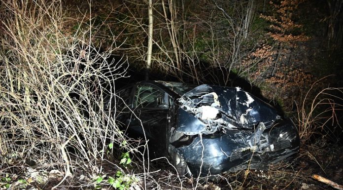 Auto in Baum geprallt – Fahrer unbestimmt verletzt