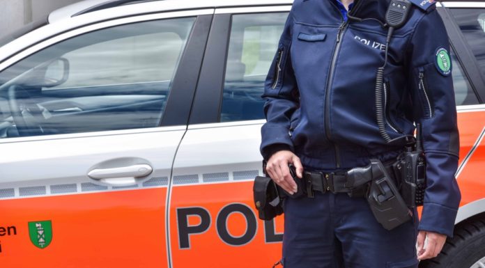 Zweijähriger Hund in Auto jämmerlich verstorben