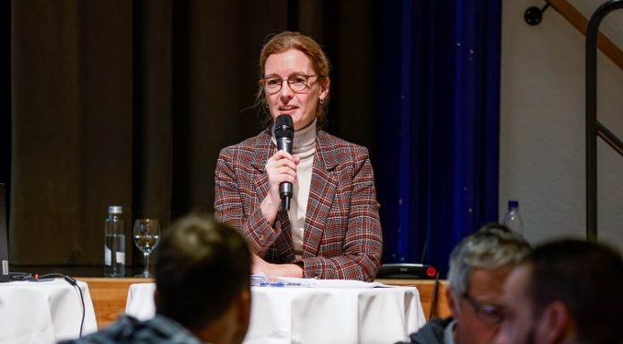 Beginn der Arbeiten zur breit abgestützten Waldstrategie 2030+