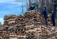 Funkensonntag – Brauchtum ohne Umweltbelastung