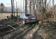 Flüchtender nach Polizeijagd festgenommen