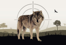 Regierung passt Hegeverordnung an Jagdgesetz an