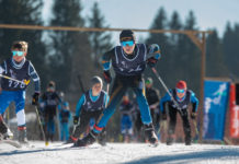 Das letzte Rennen der Saison steht an