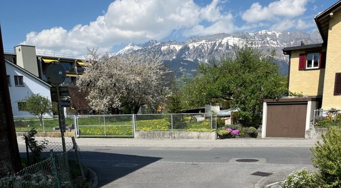 Velofahrerin nach Unfall verletzt