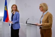 Höchstspannungsleitung Balzers: Enteignungsantrag auf dem Tisch