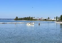 Flugzeug in Bodensee gestürzt