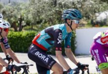 Giro: Italiener Covi gewinnt 20. Etappe
