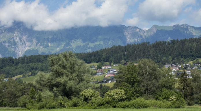 Mauren erste Gemeinde mit vernetztem Biodiversitätskonzept