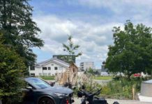 Uzwil: Rollstuhl fährt vor Auto