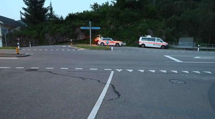 Unfall zwischen alkoholisiertem Autofahrer und Kuh