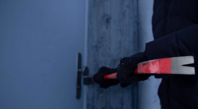 Nach Einbruchdiebstählen festgenommen