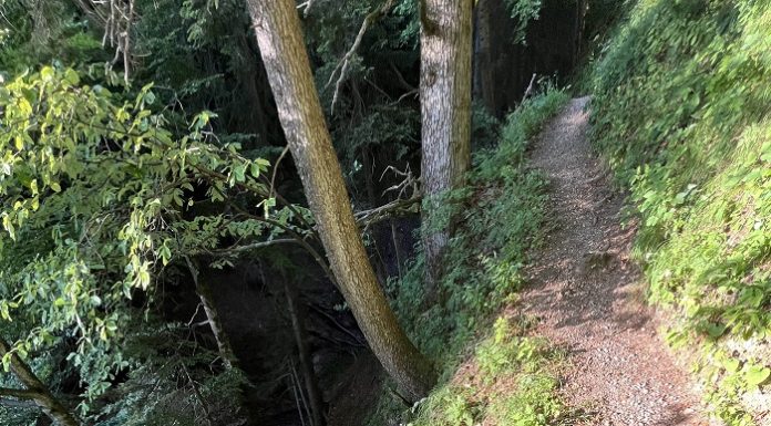 Wanderin tödlich verunglückt!