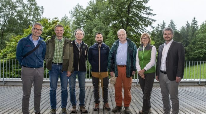 Treffen der deutschsprachigen Waldverantwortlichen in FL
