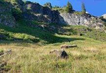 Walenstadtberg: Basejumper tödlich verunglückt