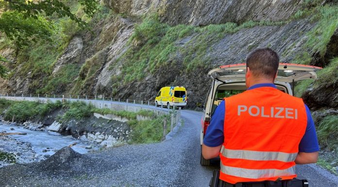 Mutter und Kind von herabfallendem Baumstamm tödlich verletzt