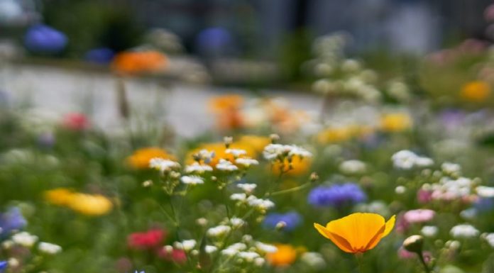Klimaneutralität – Keine Zeit zu verlieren