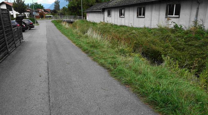 Rollstuhlfahrer in Bach gestürzt – Reanimation