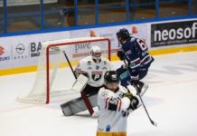 Pioneers Vorarlberg verlieren gegen Fehervar