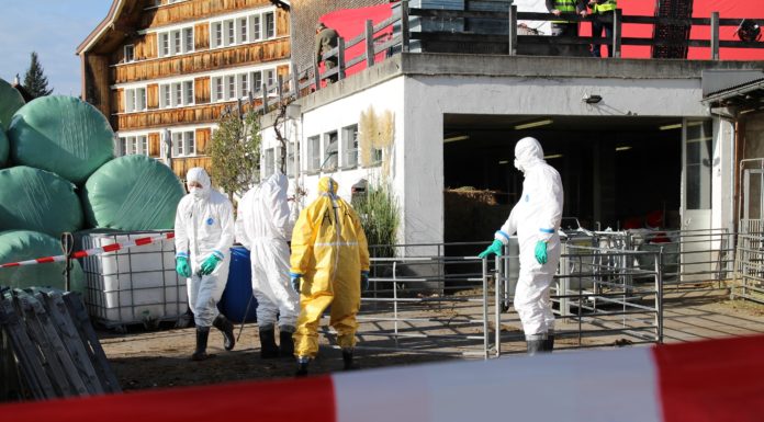 Tierseuchen: Liechtenstein übt mit Ostschweizer Kantonen den Ernstfall