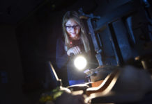 Zum Monat der Kinderrechte – Familientour im LandesMuseum