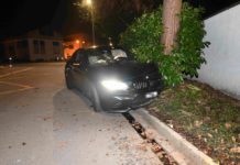 Widnau: Mit Auto in Baum geprallt