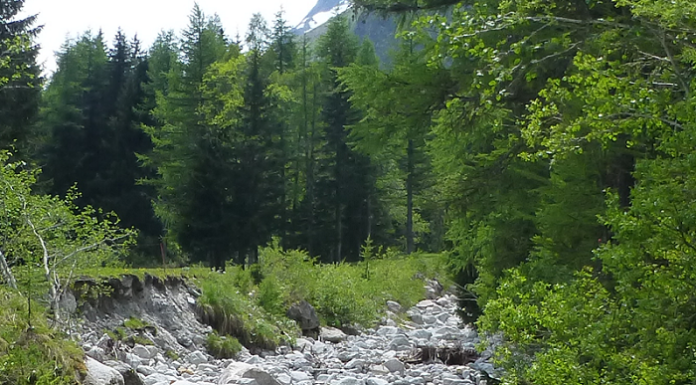 Earth Hour: Schenk der Erde eine Stunde! China und Russland fehlen…