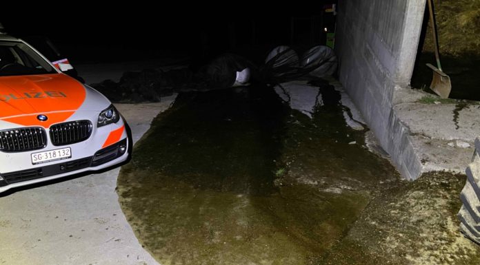 Walde: Jauchegrube überlaufen