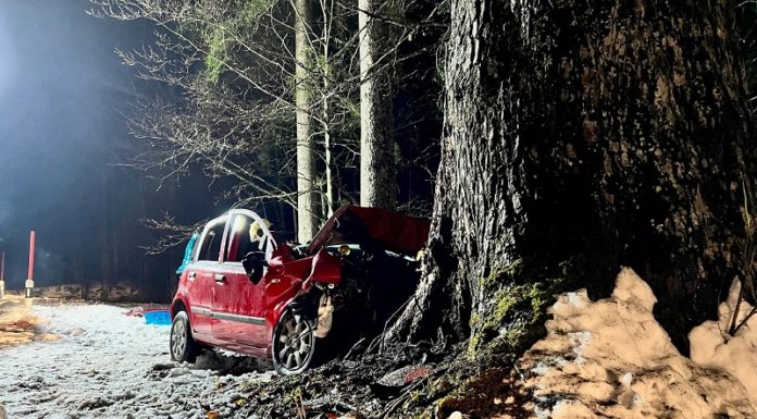 Gegen Baum geprallt und verletzt
