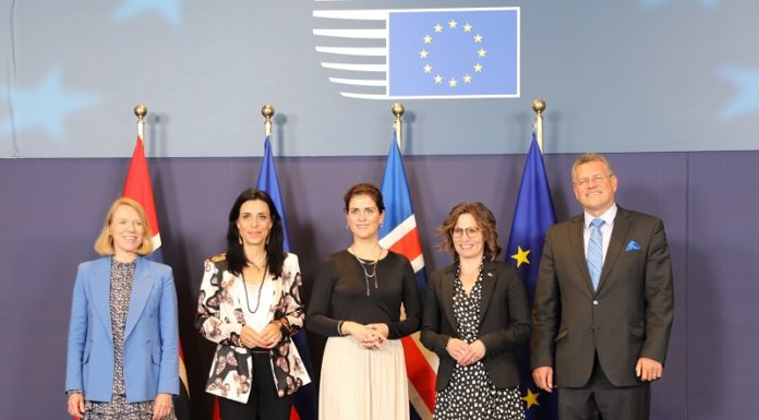 Austausch der EWR/EFTA-Staaten mit der EU in Brüssel