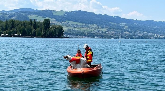 Suche nach 14jährigem Jungen im Bodensee eingestellt!